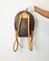 Ellipse Backpack, back view